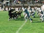 1993