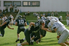 imm029