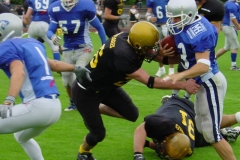 bild14