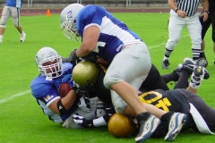 bild16