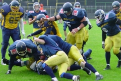 bild17