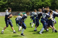 bild15