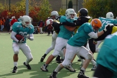 bild09