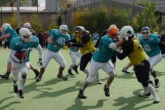 bild10