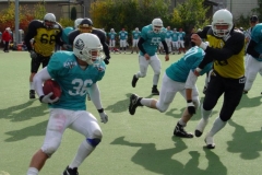 bild11