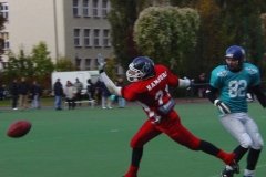bild15