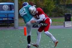 bild17