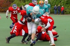 bild19