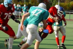 bild20