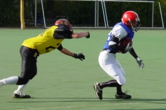 bild11