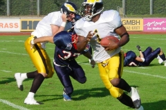 bild17