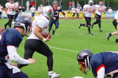 bild16