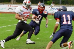 bild19