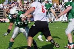 bild15