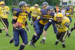 bild19