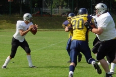 bild20