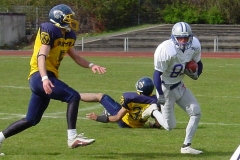 bild12