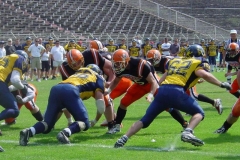 DSC07888