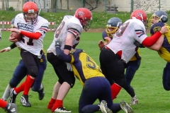 bild16