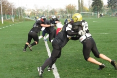 Germany-Polen_26.10.08_044