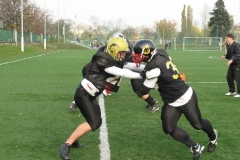 Germany-Polen_26.10.08_045