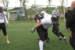 Germany-Polen_26.10.08_067