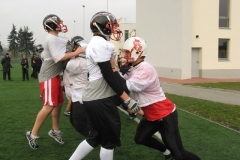 Germany-Polen_26.10.08_110