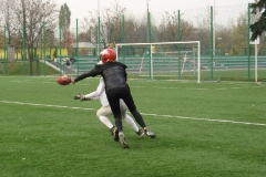 Germany-Polen_26.10.08_114