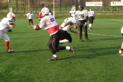 Germany-Polen_26.10.08_015