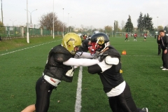 Germany-Polen_26.10.08_042