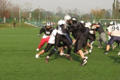 Germany-Polen_26.10.08_059