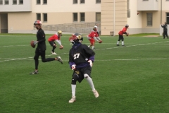 Germany-Polen_26.10.08_092