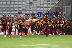 frtp_2011_07_08_29745