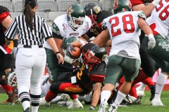 frtp_2011_07_08_29816