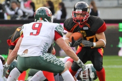 frtp_2011_07_08_29848