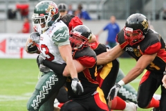 frtp_2011_07_08_29863