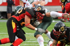 frtp_2011_07_08_29876