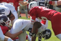IMG_3524