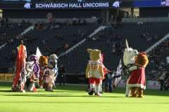 IMG_1164